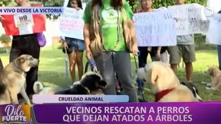 La Victoria: vecinos denuncian constantes abandonos de perros en parques