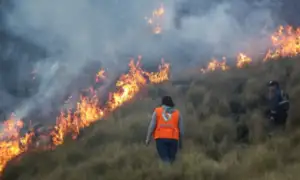 Áncash: incendio forestal consume 280 hectáreas de cultivo
