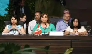 Dina Boluarte propone en la Cumbre de la Amazonía luchar “firmemente” para frenar los delitos ambientales