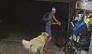 ¡Insólito! Ladrón se hace amigo de perro guardián para luego robar una bicicleta en EE.UU