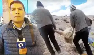 Cusco: Comuneros locales de Chumbivilcas piden justicia por matanza de casi 100 vicuñas