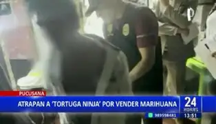 Atrapan a “Tortuga Ninja”: sujeto fue capturado mientras vendía droga