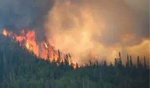 Canadá: ordenan evacuar ciudad entera por incendios forestales