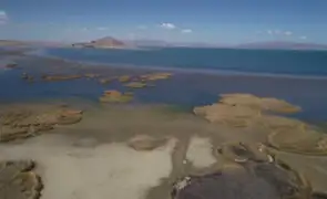 Puno: estrés hídrico amenaza Lago Titicaca y pone en riesgo ganadería y agricultura