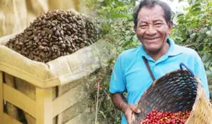 Café peruano conquista 52 mercados en el mundo y es el sustento de 223 mil familias