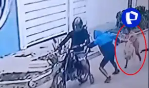 Piura: escolar fue arrastrada y lanzada el piso por delincuentes que le robaron su celular