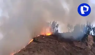 Incendio forestal en Apurímac: confirman cinco fallecidos y 11 heridos