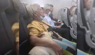 Poder perruno: anciana se relaja en viaje de avión gracias al cariño de un tierno can