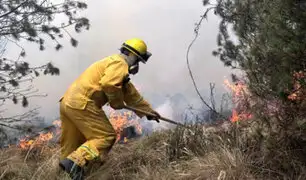 Áncash: incendio forestal afecta distrito Chavín de Huantar, según COEN