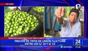 Mercado Mayorista: precio del limón fluctúa entre S/10 y S/15 por kilo