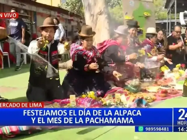 Comerciantes celebran el Día de la Alpaca y el Mes de la Pachamama con curiosos productos