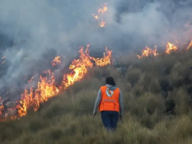 Áncash: incendio forestal consume 280 hectáreas de cultivo