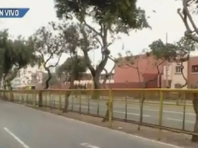 Avenida Brasil despejada: retiran todos los estrados instalados por Desfile Militar