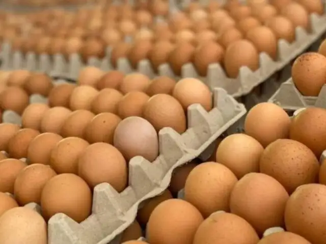 Ingresan 3.6 millones de huevos de contrabando a la semana, según AVISUR