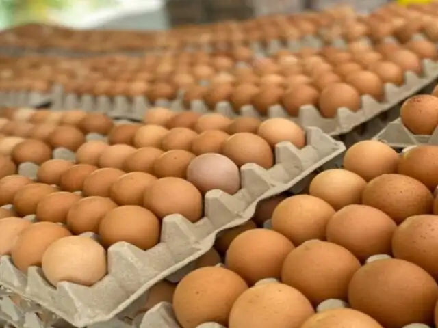 Precio del huevo podría recuperar su costo normal en tres años, advierte Avisur