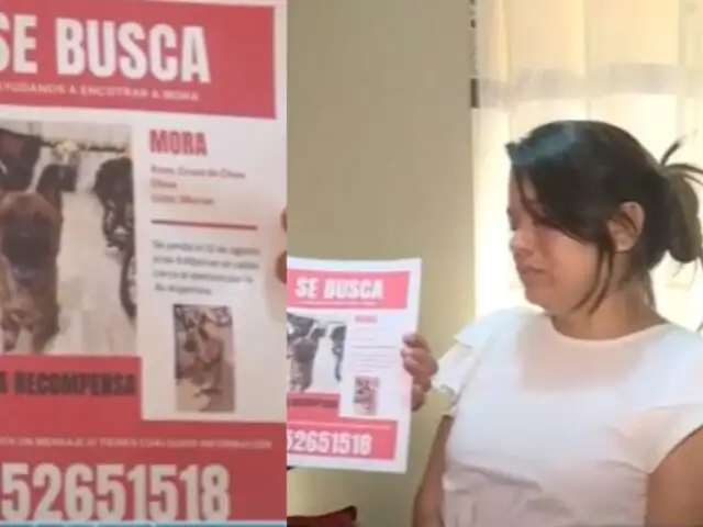 Perrita se escapa de supuesto hospedaje de mascotas: familia pide ayuda para encontrarla