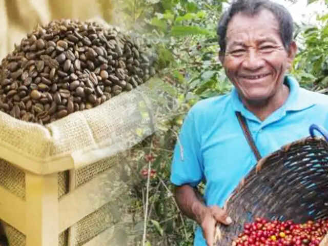 Café peruano conquista 52 mercados en el mundo y es el sustento de 223 mil familias