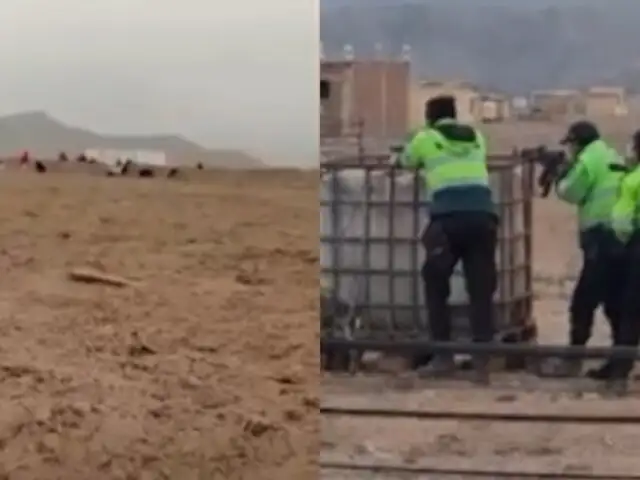 Balacera en Cañete: policías son atacados por invasores de terrenos tras intentar desalojarlos