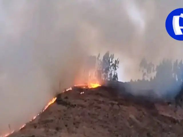 Incendio forestal en Apurímac: confirman cinco fallecidos y 11 heridos