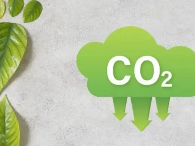 ¿Qué es la huella de carbono y por qué es importante?