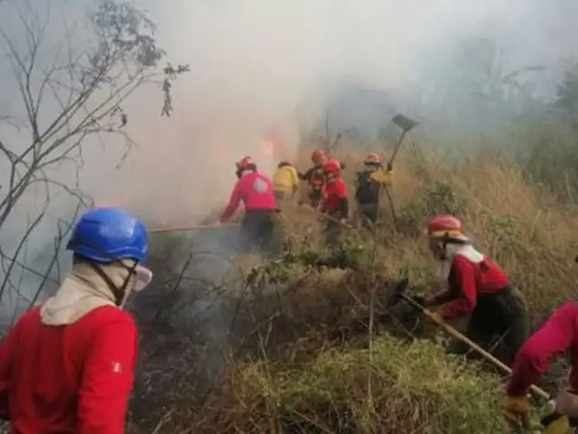 Continúan intensas labores para controlar incendio forestal en distrito cusqueño de Quellouno