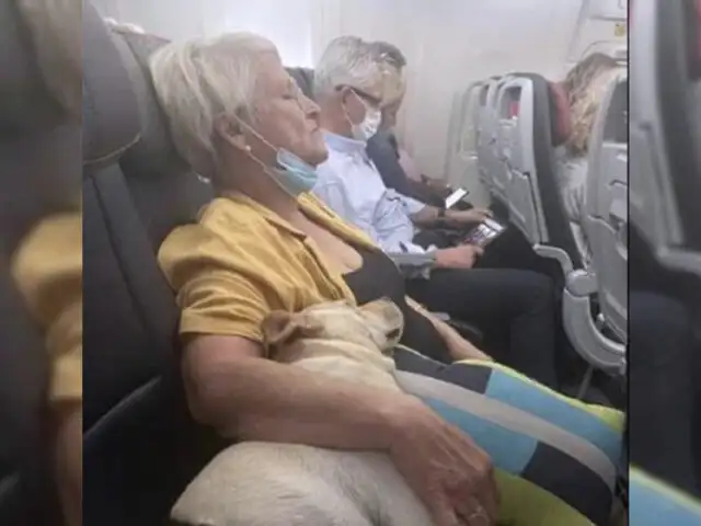 Poder perruno: anciana se relaja en viaje de avión gracias al cariño de un tierno can
