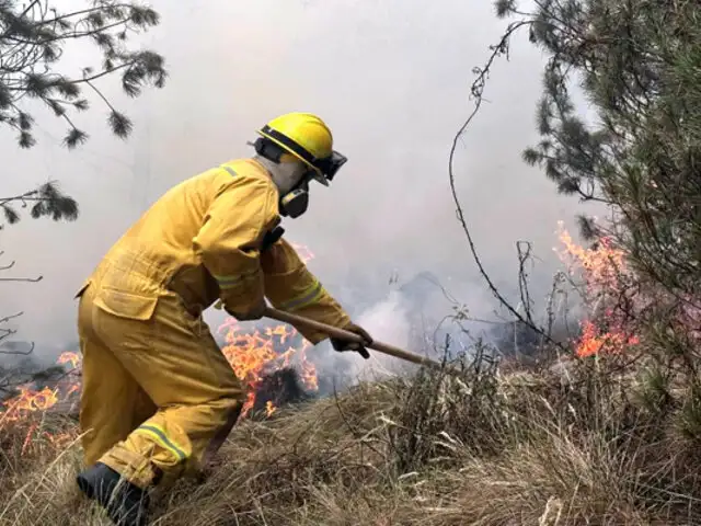 Áncash: incendio forestal afecta distrito Chavín de Huantar, según COEN