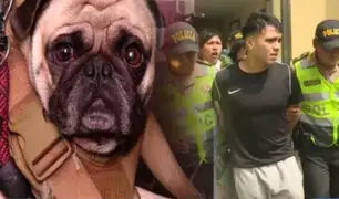 Fue condenado a prisión suspendida: Sujeto que agredió a mascota en Breña será puesto en libertad