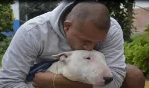 Se llamará "Fernando": perrito abandonado y rescatado en SMP ya tiene nuevo hogar