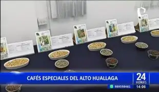 Café de primera calidad del Alto Huallaga será subastado