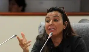 Karla Schaefer: "La policía debe especializarse en combatir organizaciones criminales de acuerdo al tipo"