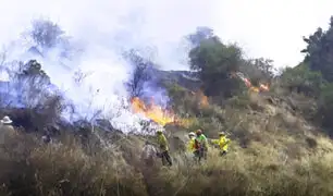 Alarma en Tarapoto: incendio forestal en área de conservación se expande rápidamente por sequía