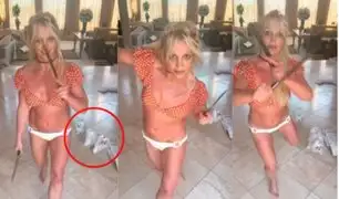 Britney Spears desata polémica tras bailar con cuchillos cerca a sus perritos