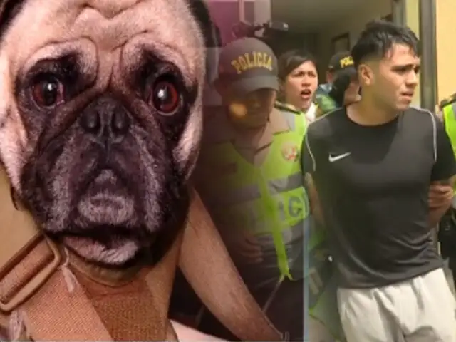 Detienen a un sujeto por maltratar a un perro de raza Pug en el Cercado de Lima