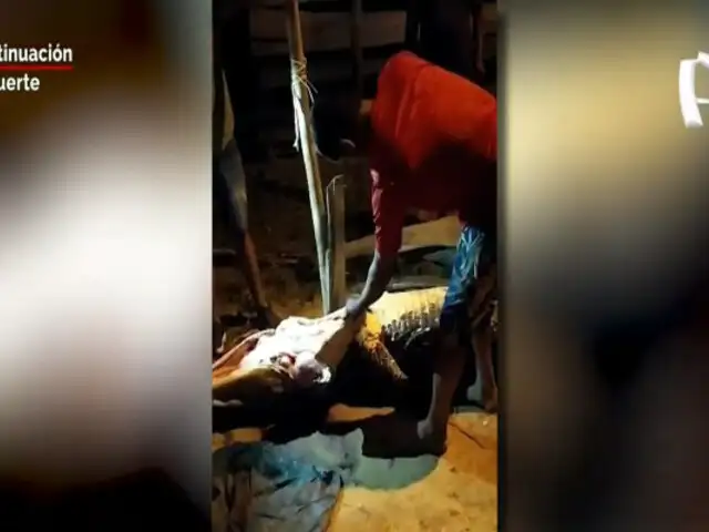 Loreto: pescador mata a cocodrilo que se escapo de río y asusto a los residentes