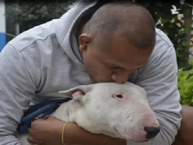 Se llamará "Fernando": perrito abandonado y rescatado en SMP ya tiene nuevo hogar