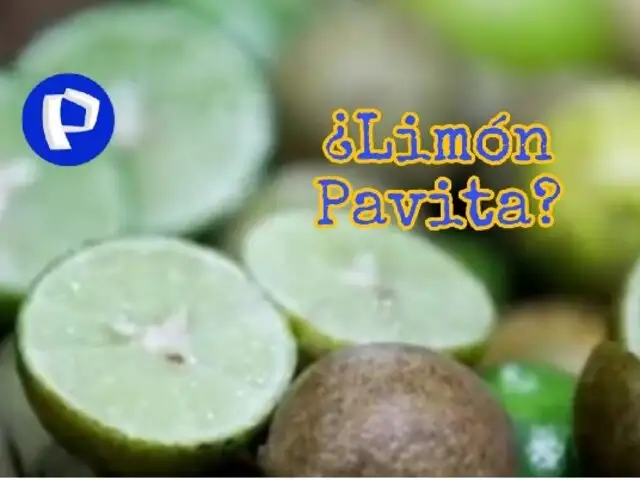Trujillo: el limón 'pavita' surge como alternativa económica ante subida de precios