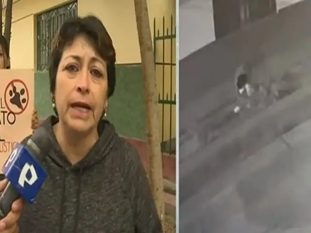 Los Olivos: denuncian a anciana por envenenar a perros de sus vecinos