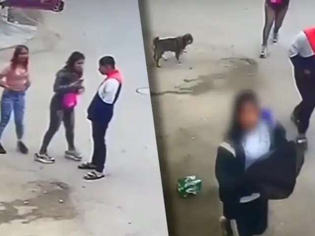 SJL: Dos mujeres y un hombre asaltan a una escolar a metros de su colegio