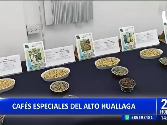 Café de primera calidad del Alto Huallaga será subastado