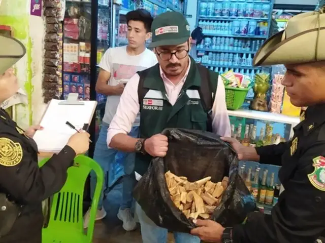 Encuentran partes de cocodrilo, venado y boa disecados de procedencia ilegal en un mercado