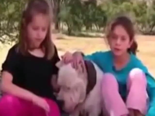 'Morocho', el valiente perro que se enfrentó a un puma para proteger a dos niñas
