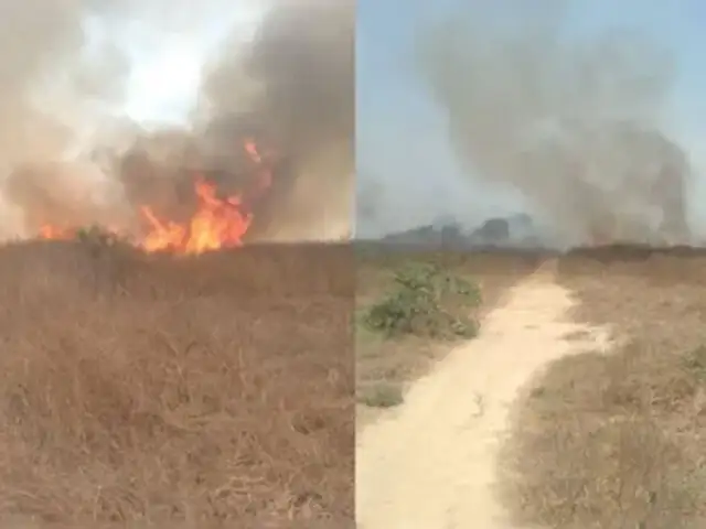 No afectó recinto cultural: controlan incendio cerca de complejo arqueológico Apurlec en Lambayeque