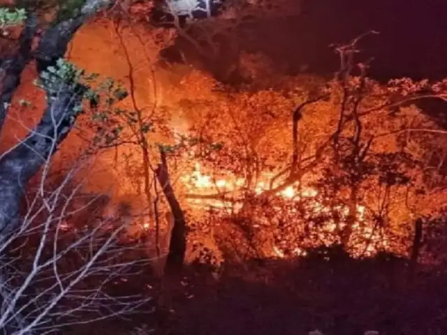 Piura: incendio forestal lleva más de tres días y arrasa con 80 mil hectáreas