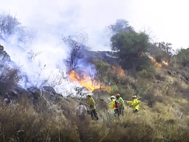 Cusco: alarma por incendio forestal fuera de control que amenaza centro arqueológico