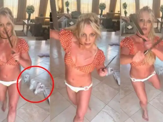 Britney Spears desata polÃ©mica tras bailar con cuchillos cerca a sus perritos