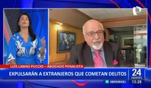 Lamas Puccio sobre expulsar a extranjeros que delinquen: Es un tema burocrático y logístico