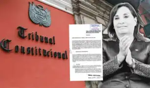Dina Boluarte: presentan demanda ante el TC contra ley que permite ejercer la presidencia remota