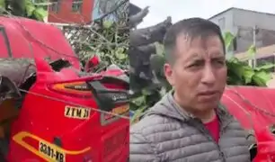 Árbol cae y destruye mototaxi: padre de familia solicita apoyo a las autoridades de SMP