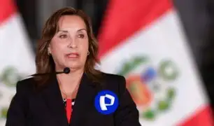 Presidenta Boluarte sobre nuevo viaje a EEUU: Cada vez que uno sale afuera no se va de paseo